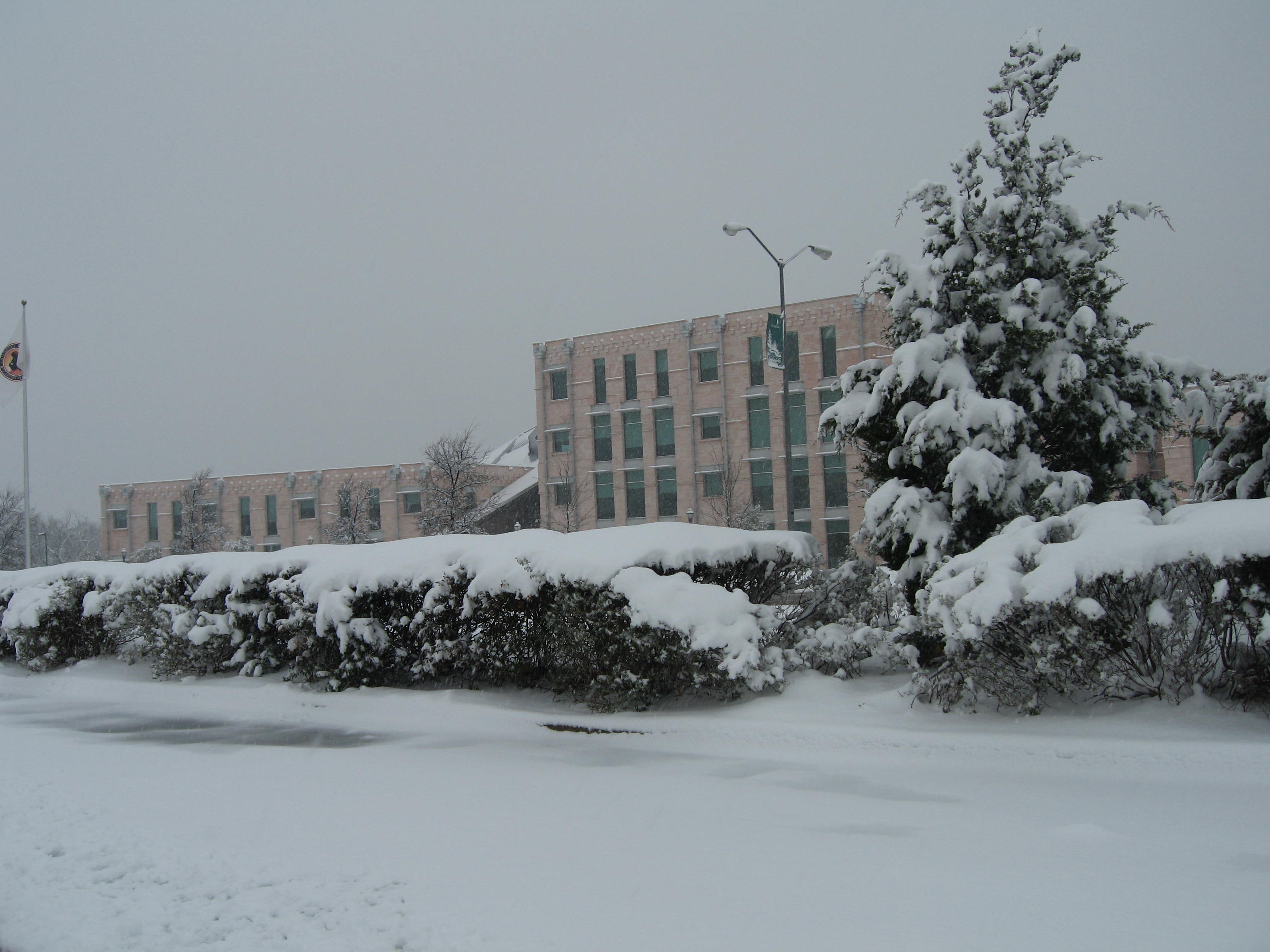 10.02.11 cedar hill snow scenes 031